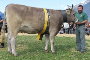 151003Altdorf 085
